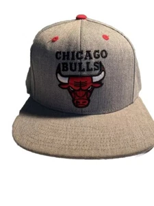 Gorra de béisbol Mitchell & Ness Chicago Bulls gris con cierre a presión ajustable - Imagen 1 de 5