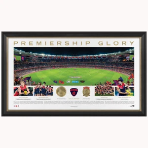 Melbourne 2021 AFL Premiers Official Panoramic Perth Stadium Print Framed + COA - Picture 1 of 1