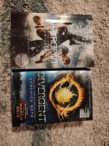 The Divergent, Insurgent books series by Veronica Roth Paperback - Picture 1 of 9