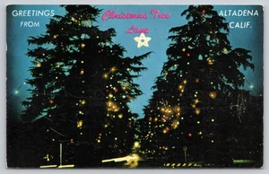 Christmas Tree Lane Santa Rosa Avenue Altadena CA Postcard - Picture 1 of 2