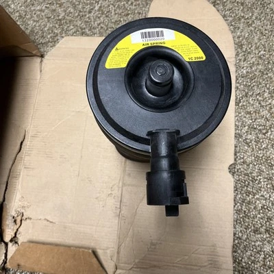 Rear Air Suspension Spring Shock Strut For Lincoln Town Car Ford Crown Victoria - Image 1 of 4