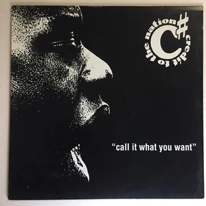 Credit To The Nation. Call It What You Want. 12" Single 1993. Ragga, Hip Hop - Picture 1 of 6