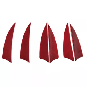50pcs 3" Archery Arrow Feather Natural Turkey Fletches Fletching Right Left Wing - Picture 1 of 19
