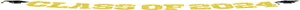 Graduation Decorations 2024, Black & Gold Congrats Grad Banner for College - Picture 1 of 12