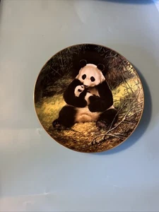 "The Panda" Collector Plate, by Painter Will Nelson Endangered Species Study - Picture 1 of 1