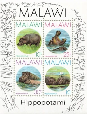 Malawi 505a Souvenir Sheet Hippopotamus MNH - Image 1 of 2