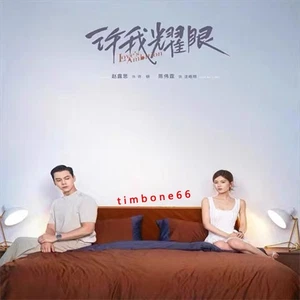 2025 Chinese LOVE IS AMBNION 许我耀眼 Chinese Sub BOXed - Imagen 1 de 3