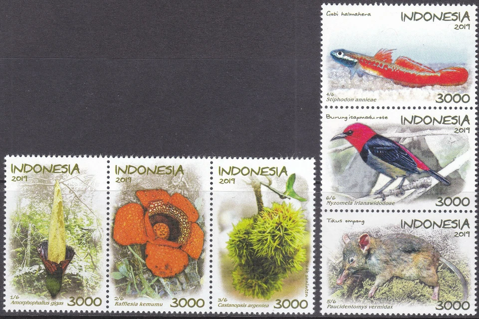 Indonesia - Indonesia Edición 2019 (3626-3631) Flora y Fauna - Imagen 1 de 1