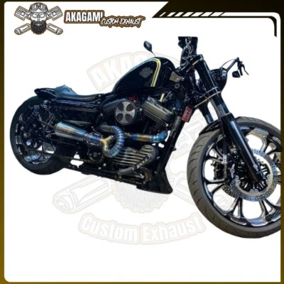 Silenciador de escape personalizado apto para Harley Davidson Sportster 883/1200 2 en 1 Foto 1 de 4