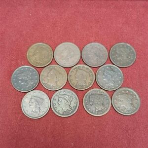  1c U.S. Lot of Braided Hair Large Cents - 12 Coins  "G"/"VG" Detail