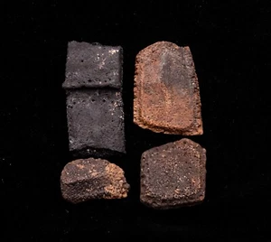 Group of Giant Armadillo Scutes Florida Fossils   1509 - Picture 1 of 2