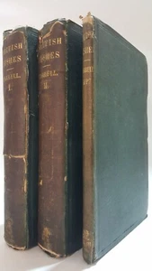 A History of British Fishes William Yarrell two vols plus supplement book 1836 - Picture 1 of 10