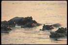 112001 Hippo Pod Relaxed In River At Twilight A4 Photo Print