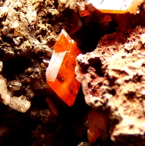 Gemmy Cristales de Wulfenita Roja Nube Roja Mina Arizona EE. UU. Mina Mineral 8 cm - Imagen 1 de 20