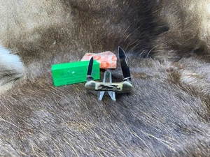 1992 Hen & Rooster Baby Canoe Knife With Stag Handles Mint Factory Box  - 142 - Picture 1 of 9