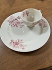 Shenango Plate and Cup Luncheon Set Red Floral From 1954