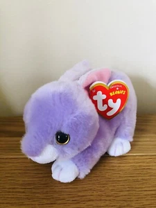 TY BEANIE BABY DASH THE BUNNY RABBIT BRAND NEW WITH TAGS EASTER - Picture 1 of 1