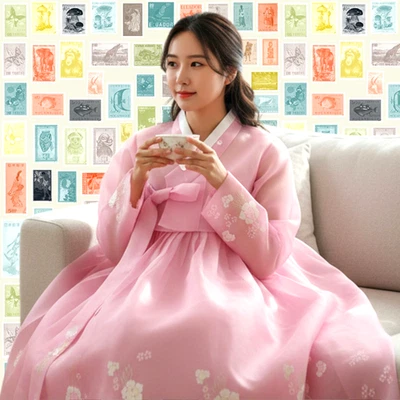 Hanbok Coreano Vestido Transparente Tradicional Corte Nacional Disfraz Realizar Conjunto de Boda Foto 1 de 4