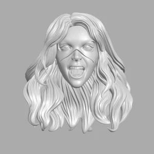 Black Canary v5 Custom Head für DC Comics und andere Actionfiguren - Bild 1 von 1