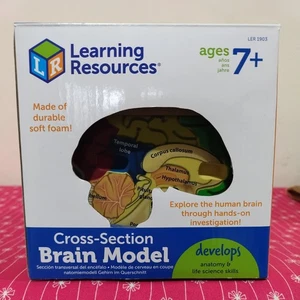 Learning Resources Cross-Section Human Brain Model (LER 1903) - Picture 1 of 4