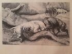 W Wise After James Ward Ra Signed Etching Two Bulls Fighting In The Woods 1874