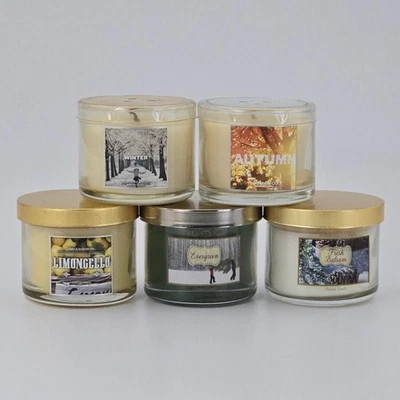 Bath & Body Works Mini Scented Candle Lot 5 Winter Autumn Evergreen Balsam - Image 1 of 4