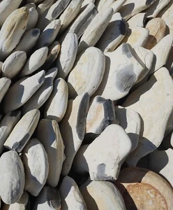High Grade Flint Knapping Material - 25lbs Georgetown Gray Black Chert - Picture 1 of 3