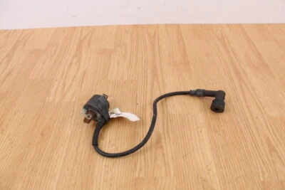 Polaris Trail Boss 350L 1993 4x4 bobina de encendido Foto 1 de 4