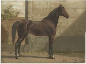 Antique Oleograph of the East Prussian Horse - Picture 1 of 1
