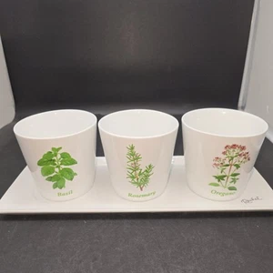 Rachel Allen Tipperary Crystal Ireland Tray with Three Herb Planter Pots 4" x 4" - Picture 1 of 14