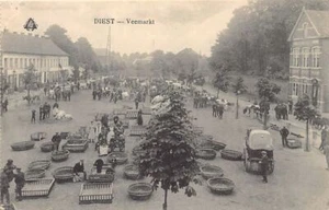 België - DIEST (Vl. Br.) Veemarkt - Picture 1 of 2