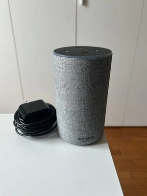 Echo 2 Generazione (GRANDE) - Immagine 1 di 3