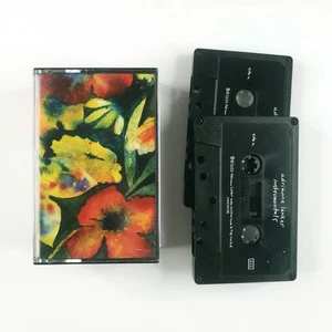 Adrianne Lenker - Songs And Instrumentals - Double Cassette Album - 4AD Tape - Picture 1 of 1