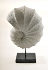 Ein riesig großer Ammonit Modell in weiss schöne Skulptur in Perfektion
