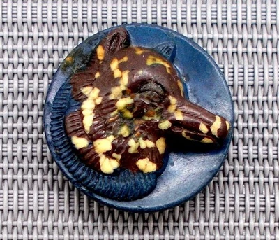 Antiguo Botón Deportivo Azul Marrón LOBO Perro Zorro Elevado Relieve Composición 1" Foto 1 de 4