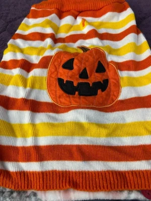 SUÉTER MARTHA STEWART PETS ABÓBORA CACHORRO TAMANHO GRANDE - Imagem 1 de 2