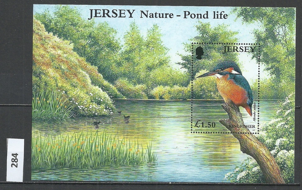 Jersey 2001 Nature - Pond Life. Birds - Minisheet  MNH - Image 1 of 1