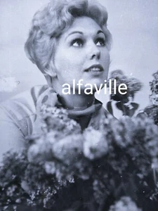 Kim Novak. (Chicago, 1933). FOTO ORIGINALE. Cm. 24 x 18 - Picture 1 of 2