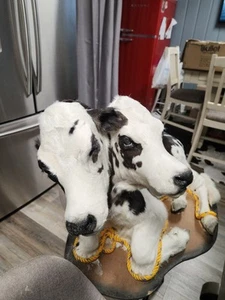 Two-Headed Full Body Calf Taxidermy Gaff Not Naturally Occurring - Picture 1 of 7