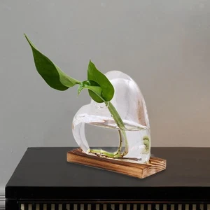 Heart Shaped Glass Vase with Wooden Base Planter Flower Vase Plant Terrarium for - Picture 1 of 6