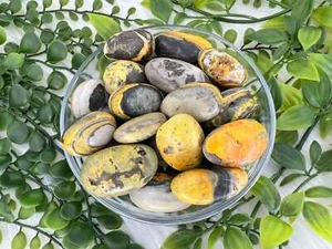 Bumblebee jasper tumble stone - Large Bumblebee Jasper Stone - Quality - Picture 1 of 10