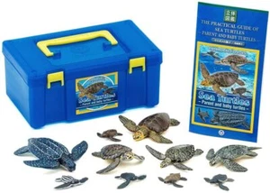 Official COLORATA Sea turtle parent and child box (3D figure) 5types/10pieces◇ - Picture 1 of 10