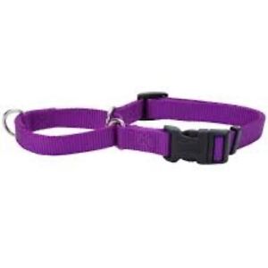 PetSafe Martingale Collar with Quick Snap Buckle, 3/4" Medium Purple NWT