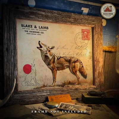 Vintage Fur Trapping Catalog Art Print Coyote Trapping Hunting Cabin Decor Gift - Image 1 of 4