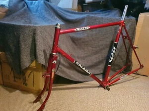 Herren Rennrad Rahmen Raleigh Rialto - Picture 1 of 10