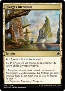 MTG Magic XLN - (x4) Unknown Shores/Rivages Unknown, French/VF - Bild 1 von 1