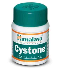 Herbal Cystone 60 Kidney Stone Care Tablets Long Expiry Pure Herb Free Shipping - Picture 1 of 4