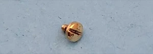 Tornillos Bisel Ebel Oro 18K Auténtico Cabeza 2.2mm Rosca 0.9mm 2.3mm Largo - Imagen 1 de 6