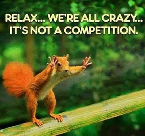 Funny Squirrel  refrigerator magnet 3 1/2 x 3 1/2 " - Afbeelding 1 van 1