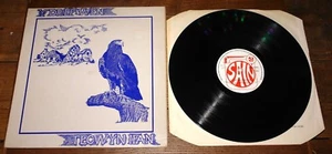 TECWYN IFAN ~ Y DREF WEN ~ UK SAIN 1977 1ST PRESS LP WALES WELSH CELTIC FOLK - Picture 1 of 9